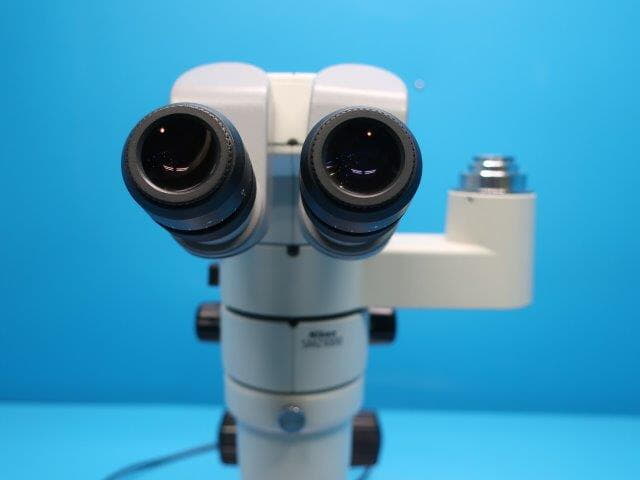 実体顕微鏡　透過照明