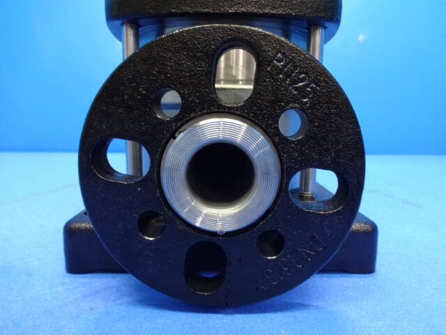 テラル モートルポンプ SVM254-6.55-e