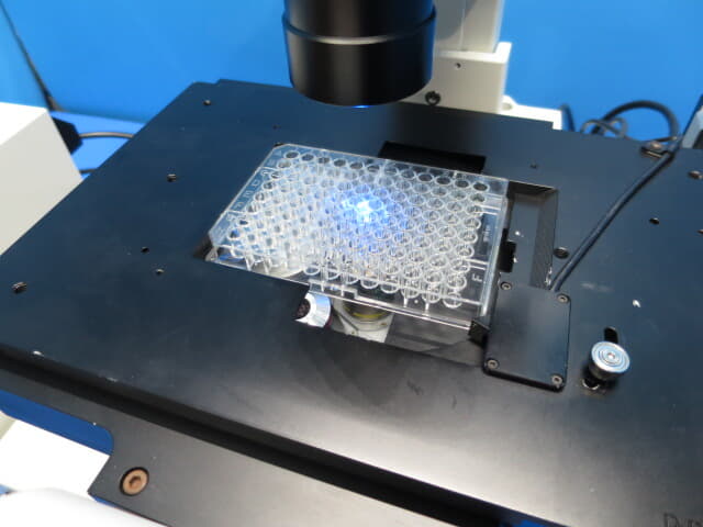 中古 ﾆｺﾝ　倒立蛍光位相差顕微鏡　Ti-E