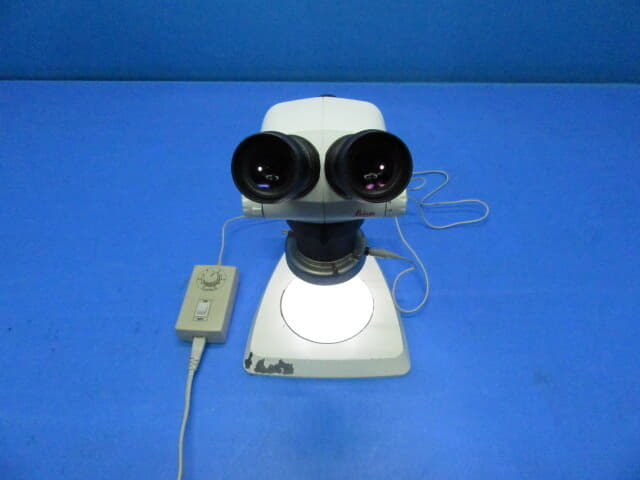 ﾗｲｶ 実体顕微鏡 S6E