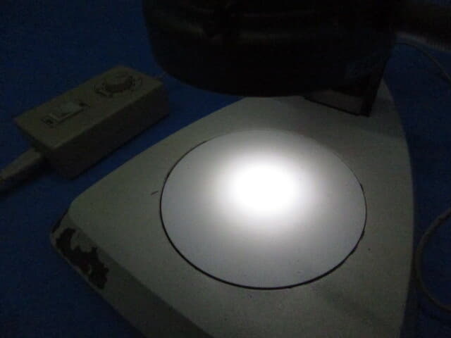 ライカ 顕微鏡 S6E